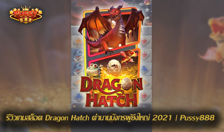รีวิวเกมสล็อต Dragon Hatch New Slot Download Free to Jackpot | Pussy888