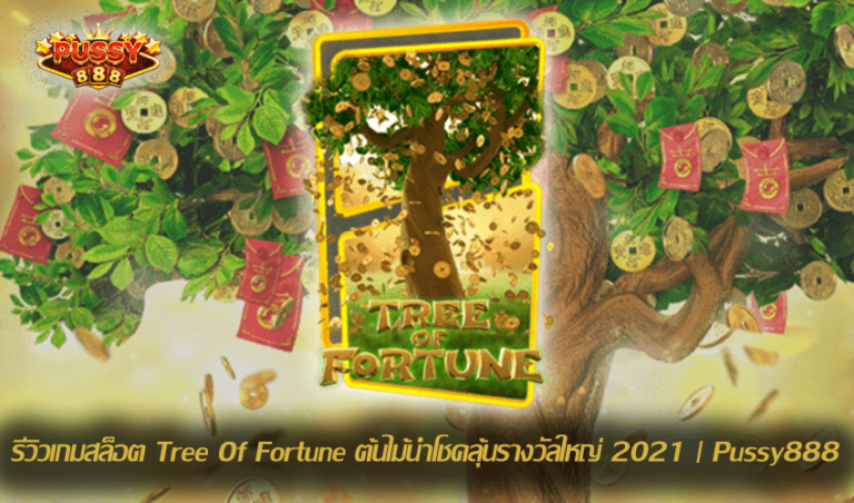 รีวิวเกมสล็อต Tree Of Fortune New Download Free to Jackpot 2021 | Pussy888