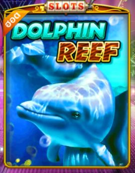 Puss888 เล่นสล็อต Dolphin Reef : โปรโมชั่นสล็อต100% Free